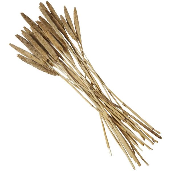 DRIED BABALA GRASS - Image 3