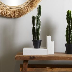 ARTIFICIAL CACTUS W/PS POT
